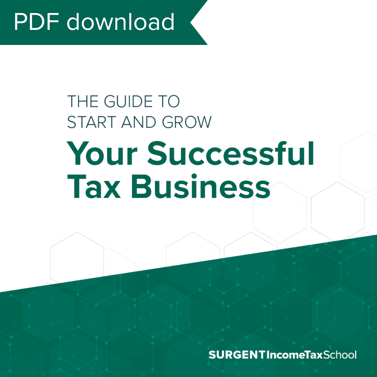 The PDF Download Option of The Guide to Start and Grow Your Successful Tax Business